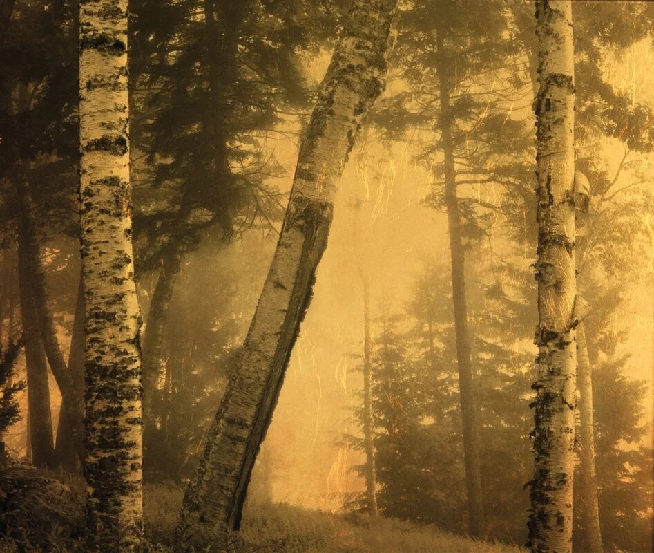 Joyce Tenneson — The Maine Museum of Photographic Arts